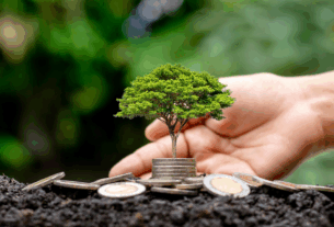 Moedas e arvore indicando que a sustentabilidade trás retorno financeiro