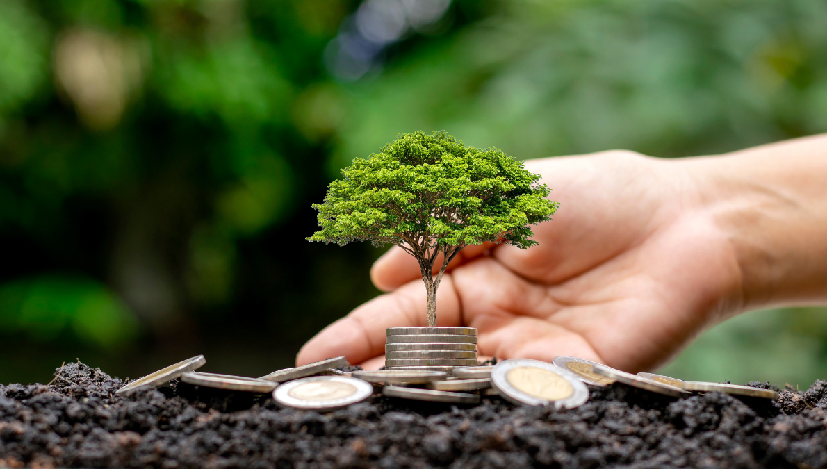 Moedas e arvore indicando que a sustentabilidade trás retorno financeiro