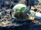 ações simples de sustentabilidade