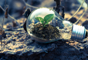 ações simples de sustentabilidade