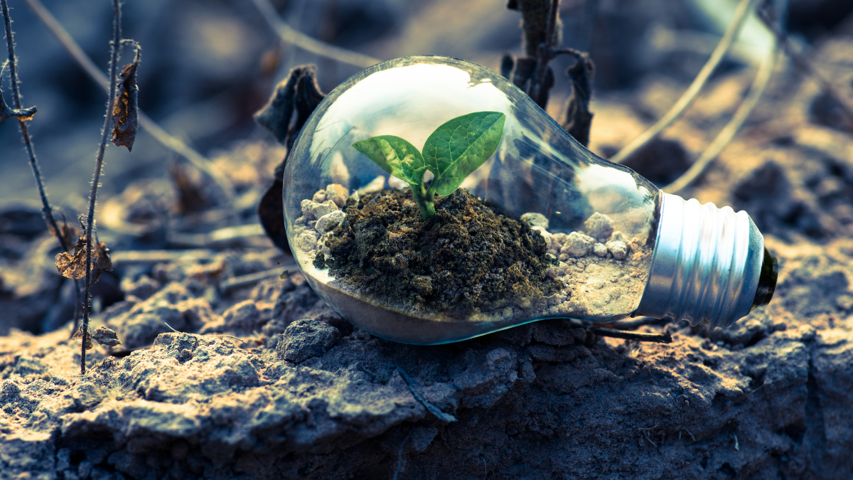 ações simples de sustentabilidade