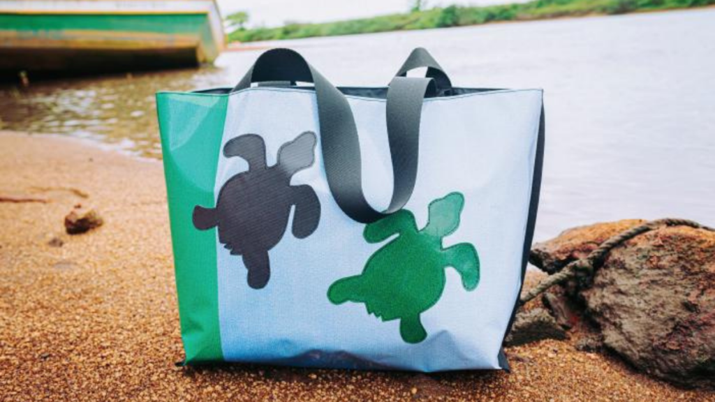 10 dicas de sustentabilidade